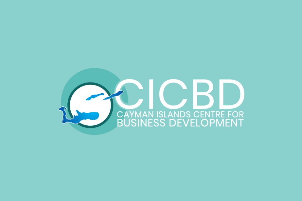 Consultancy Services: Small Business Policy – Research and Development