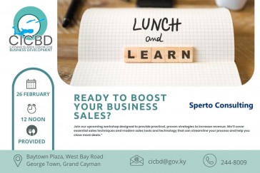 Lunch and Learn - Ready to Boost Your Business Sales?