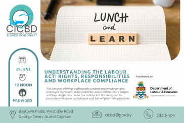 Lunch and Learn - UNDERSTANDING THE LABOUR ACT