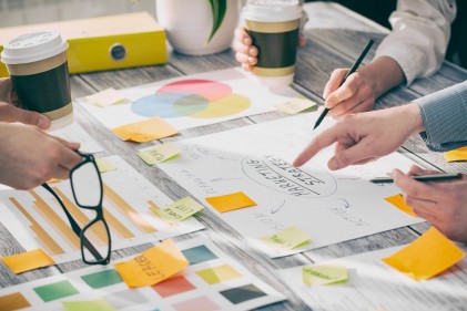 Business Model Design and Testing