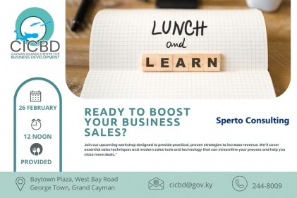 Lunch and Learn - Ready to Boost Your Business Sales?