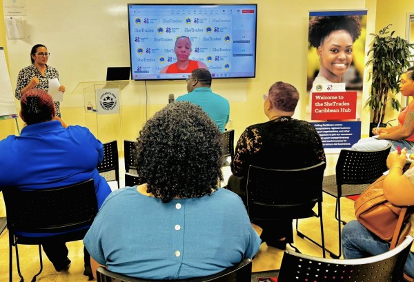 Cayman Islands Centre for Business Development - CICBD